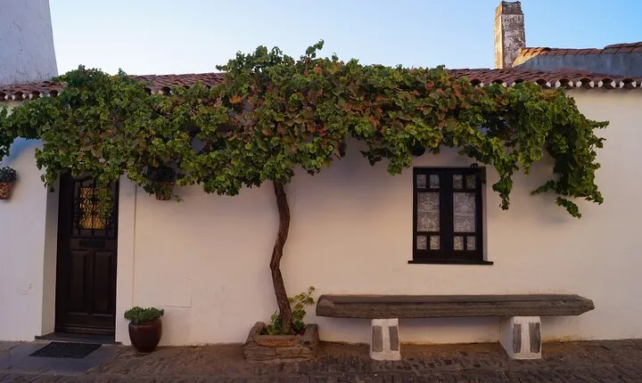 Half Day Guided Monsaraz Village and Castle Tour from Évora
