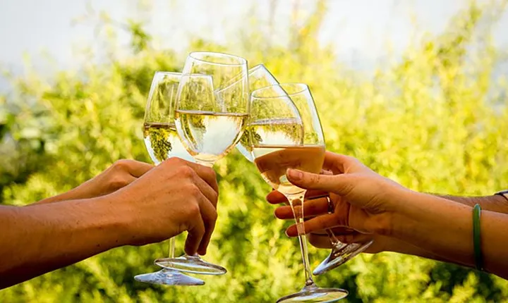Wine Tour: Paarl, Franschhoek & Stellenbosch incl 3 wineries