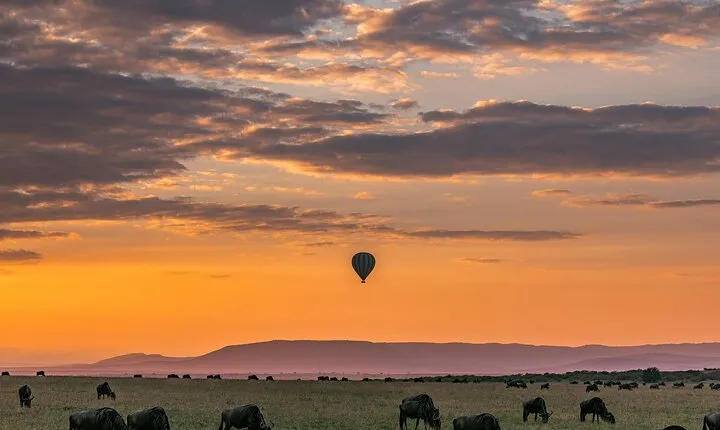 7 Days Honeymoon Luxury Safari to Four Season Lodge