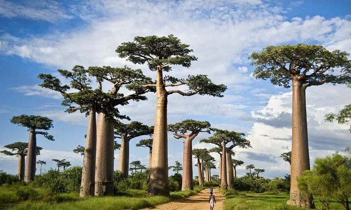 2-Day Adventure to Tarangire and Ngorongoro