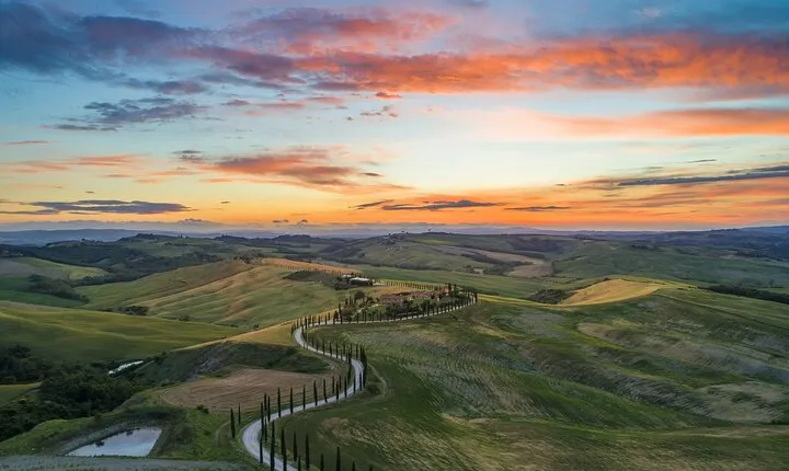 Full-Day Private Tour in San Gimignano Volterra and Bolgheri