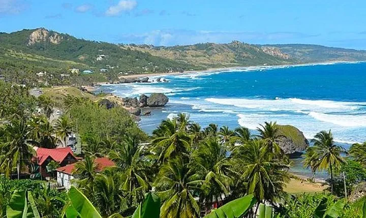 Barbados Island Tour with Lunch and Wildlife Sanctuary