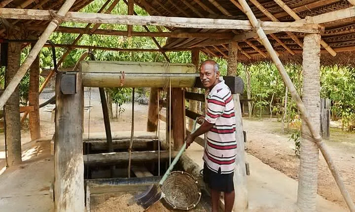 Explore Gem Mines in Rathnapura from Panadura