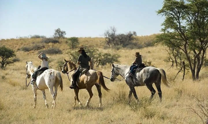 Horseriding Safari Day Tour from Johannesburg 