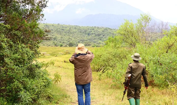 1 Day Arusha national park (Game drive and walking safari).