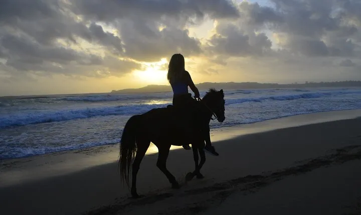 Horseback Riding at Sunrise on the Beach of Punta Cana