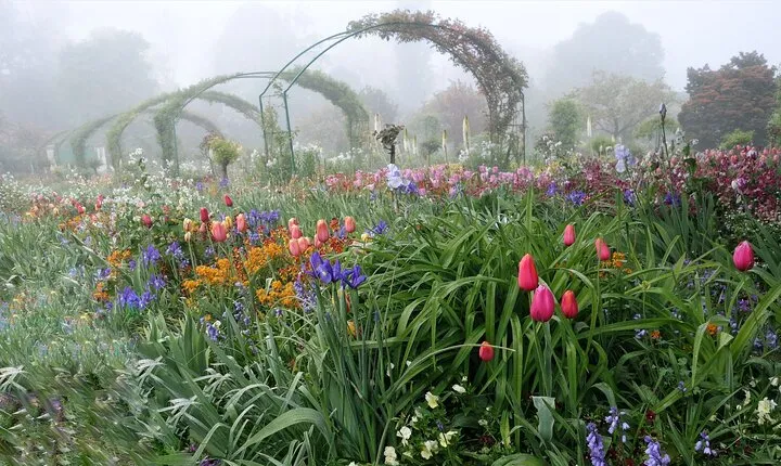 Audio Tour in Giverny and Versailles with Pick up and Drop off