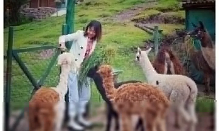 Cusco Santuario de Animales Rescatados Cochahuasi