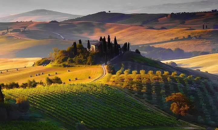 Private Half day Tour in Chianti, San Gimignano with wine tasting