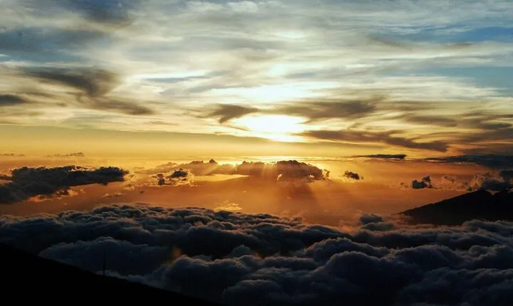 Private Upcountry Maui VIP Sunset Tour - Full Day