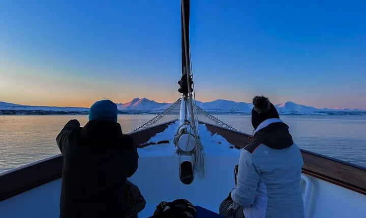 Tromso Luxury Sailing Yacht Polar Fjord Cruise with Lunch