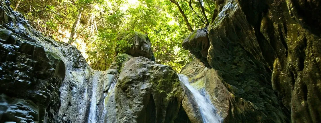 Damajagua Waterfalls & Jungle Buggies