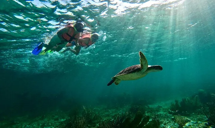 Snorkeling Guided Activity in Puerto Morelos Mexico