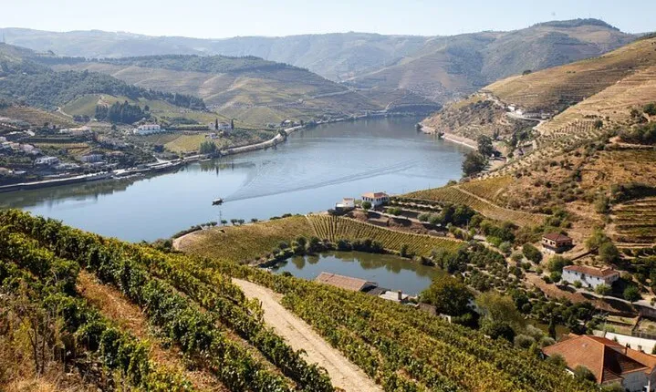 Douro Valley Exclusive and Sustainable Experience from Porto
