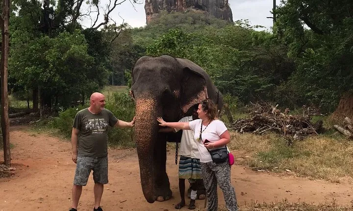 8 Days Private Guided Tour in Sri Lanka with accommodation (BB)