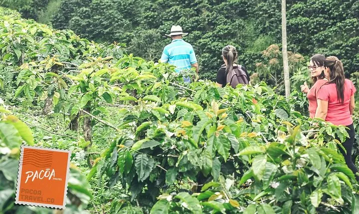 Coffee Heritage, A multisensory experience