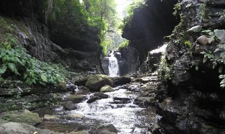 Hidden Valley Springs Resort Day Trip from Manila
