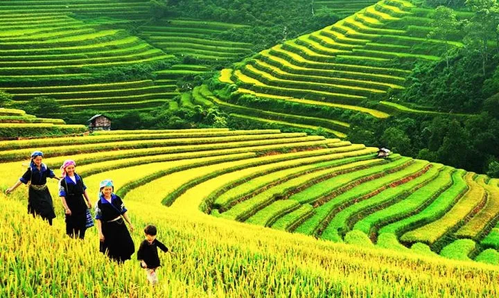 Sapa Tours 2D1N stay At 4 stars hotel nice Sleeping Bus TRANSFER