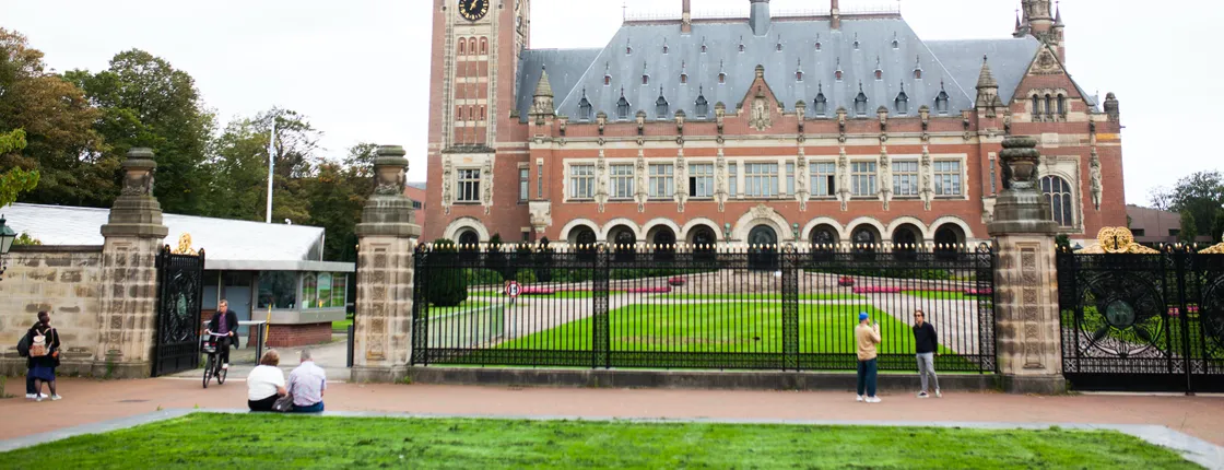 Enter The Hague 3-hour bike tour