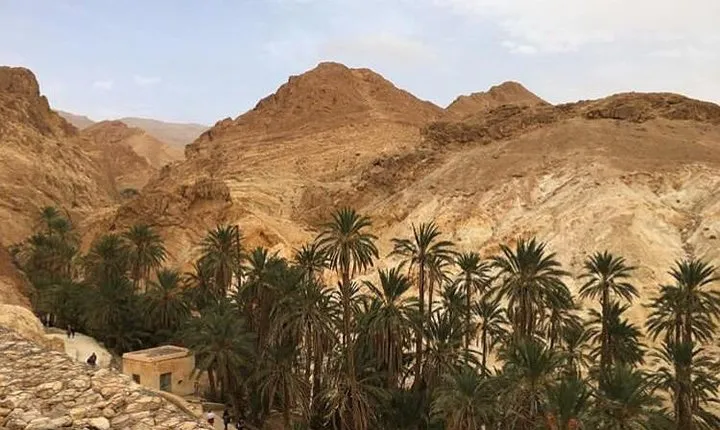Half-day excursion the mountain oases from Tozeur