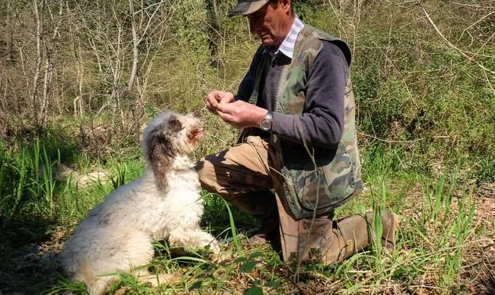 Private Truffle Hunting in Chianti from Florence