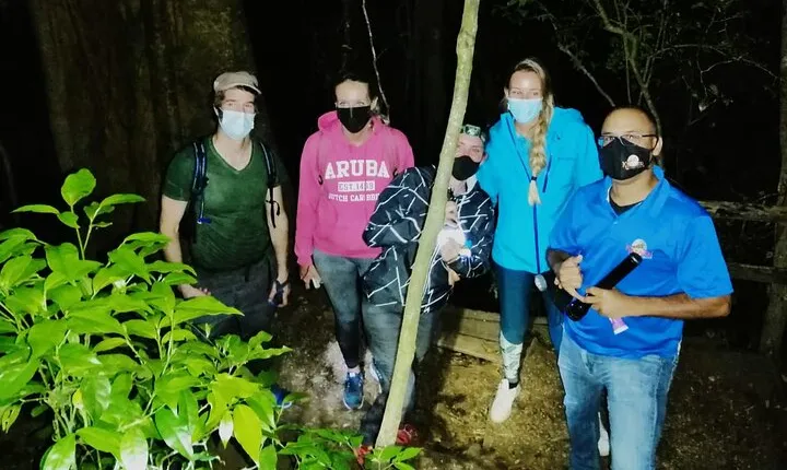 Kinkajou Night Walk Tour