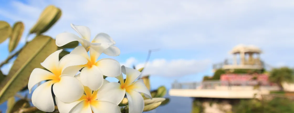 Ultimate Guam self-driving audio tour
