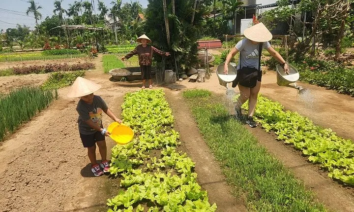 Hoi An Countryside Villages Tour & Hoi An Walking Tour with Sampan Boat Ride
