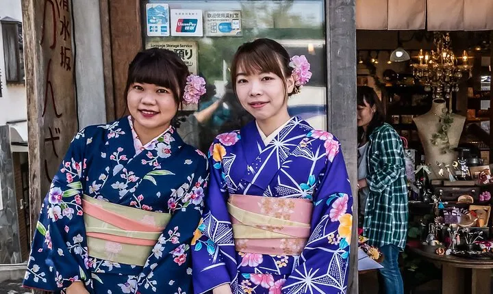 Kyoto Private Car City Tour