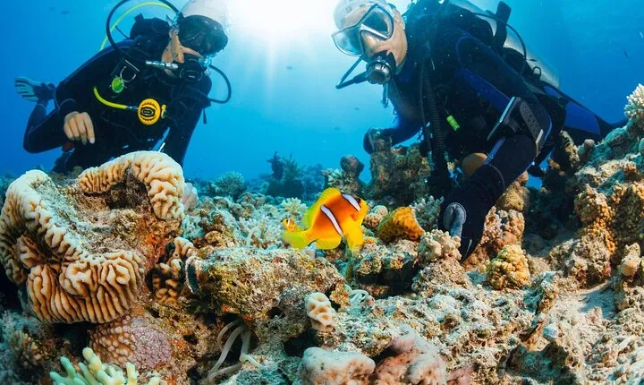 Join our Daily Diving Trip with 2 dives Transfer & Lunch-Hurghada