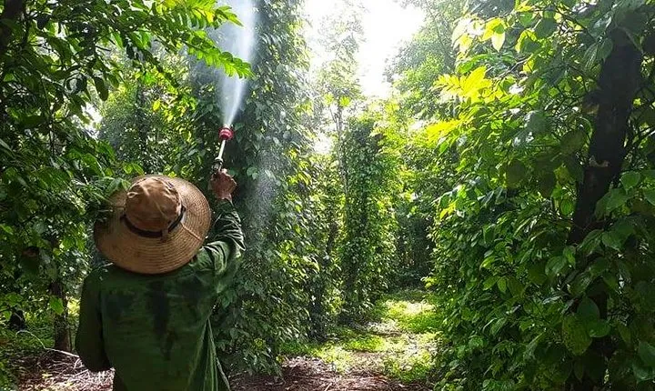 Cooking, Farming and Waterfall In Vietnam Countryside