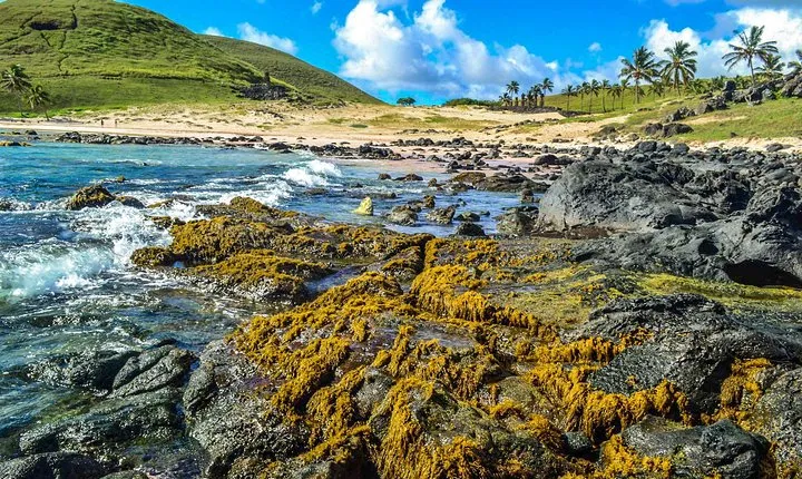 Rapanui Origins: Full Day Private Tour