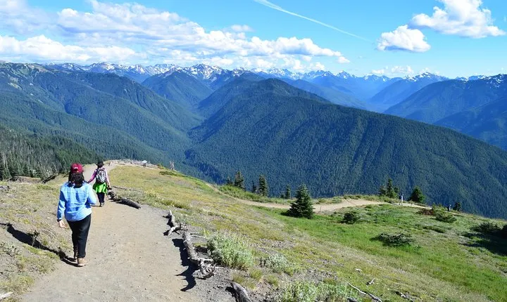 Sol Duc, Lake Crescent, and Hurricane Ridge Guided Tour in Olympic National Park