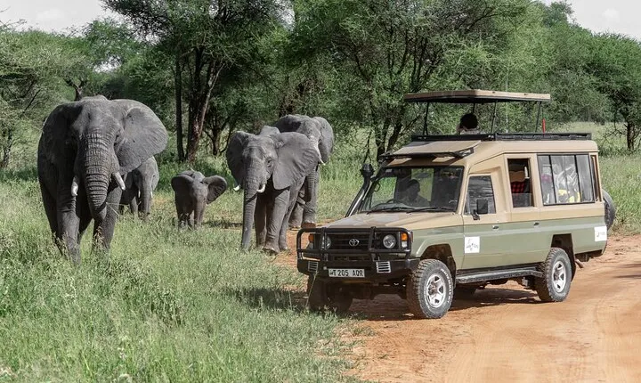 5-Day Highlights mid-Range Crater, Serengeti, Tarangire
