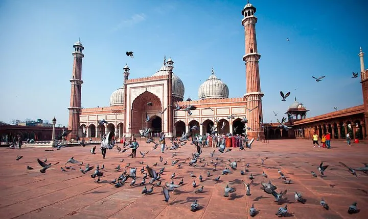 Delhi in One Day - Private Delhi Sightseeing Tour