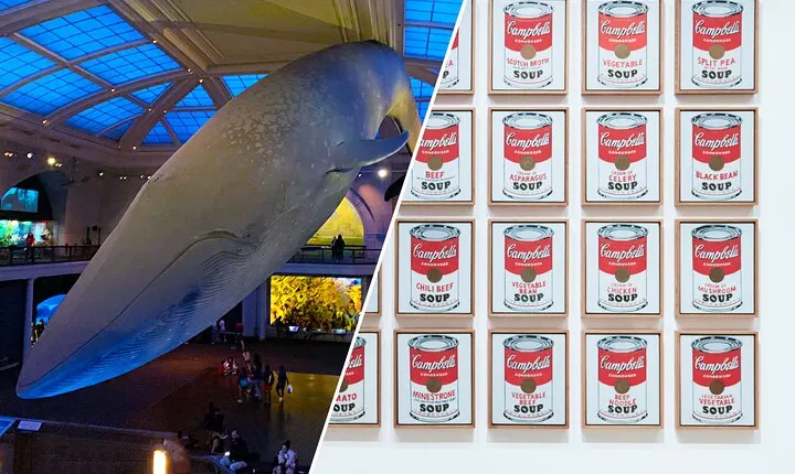 American Museum of Natural History and MOMA Combo Tickets 