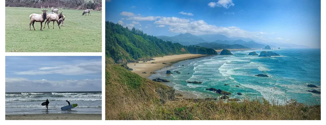 Oregon Coastal tour