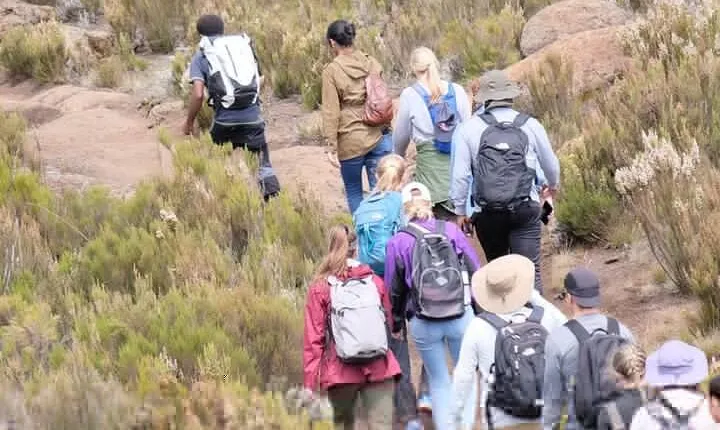 Half Day Mount Kilimanjaro Trekking