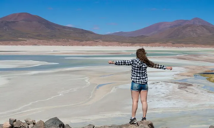 Puna Salt Flats - Full Day Tour - San Pedro de Atacama - Must Visit