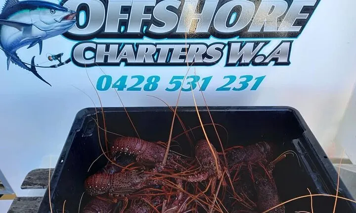 Lobster Fishing Tour at Geraldton