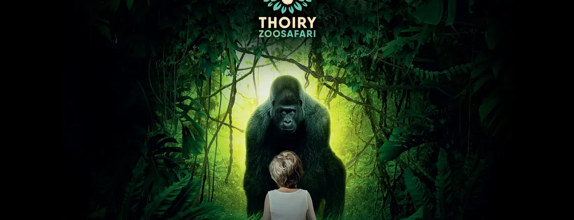 WoW Safari Thoiry Entrance Ticket