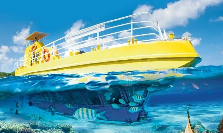 Subsea Subsee