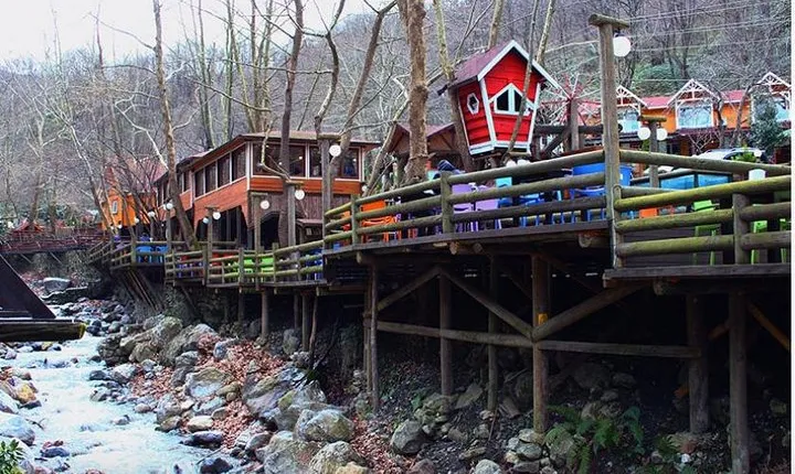 Sapanca Masukiye Zoo private Tour From istanbul VIP Minivan Best Quality