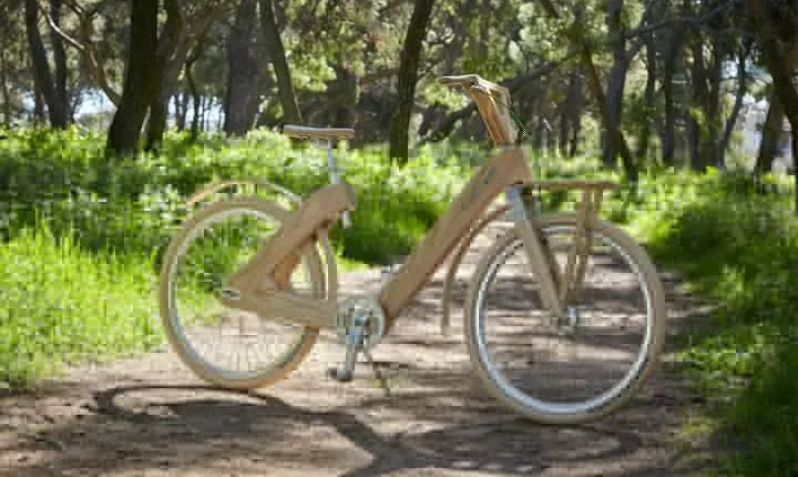 The Wooden Bicycle Tour in Stockholm