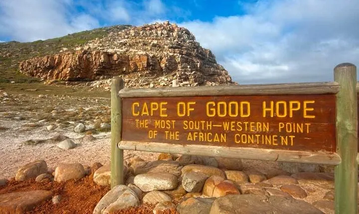 Full Day Private Tour of the Cape Peninsula and Boulders Penguins