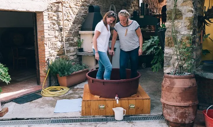 Private Grape stomping in Chianti from Siena