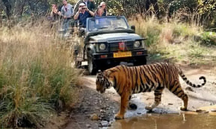 7-Day Golden Triangle Tour with Ranthambore Tiger Safari