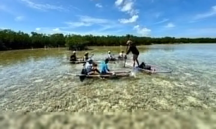 Guided Clear Kayak Eco-Tour Near Key West