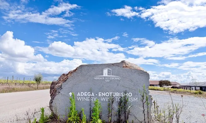 Private Wine Tour Alentejo