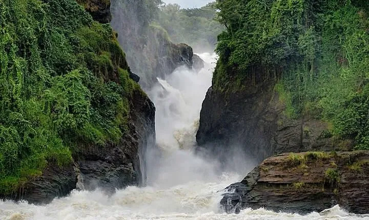 3-Day Private Tour and Safari Murchison Falls National Park 